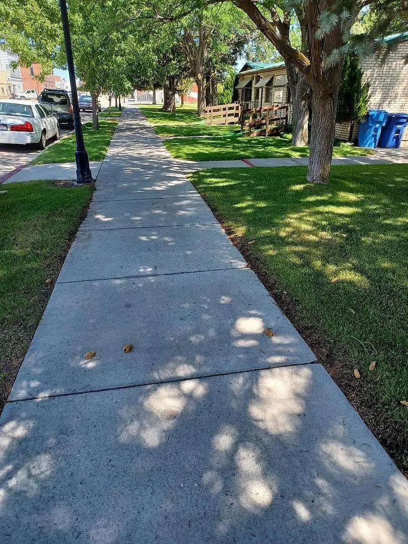 South Downey Apartments — Photo 4