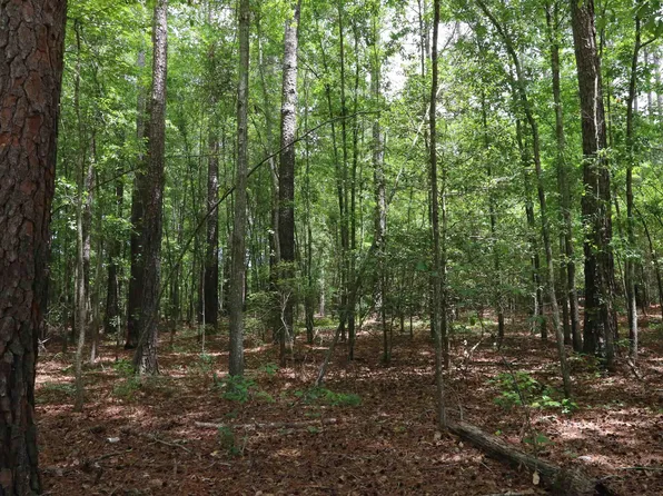 1091 Pine Grove Rd, Leesville, SC 29070