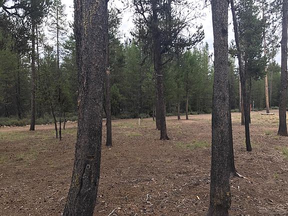 5th image of 100 Nf Rd #86