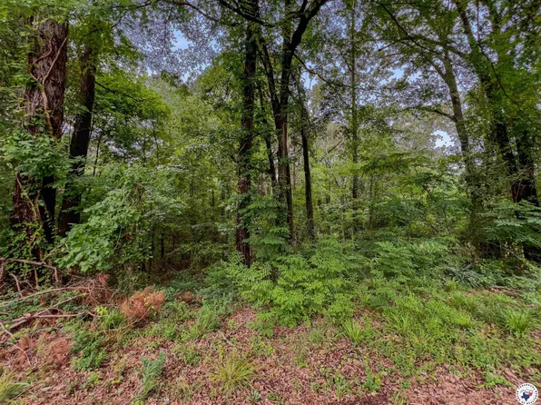 Rhine Ave, Texarkana, TX 75503