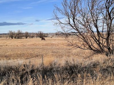 TBD Lane 8 LOT 18, Powell, WY, 82435