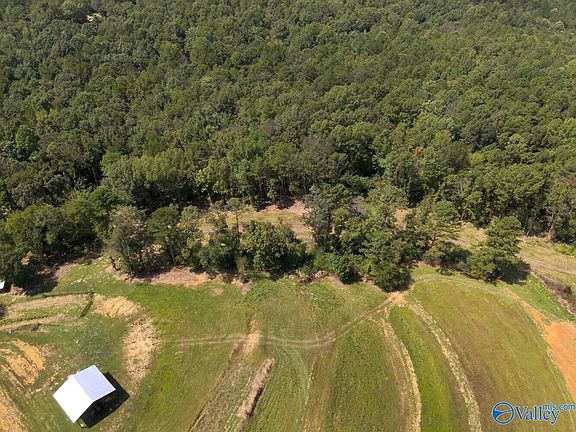 3rd image of 221 Blue Bird Rd