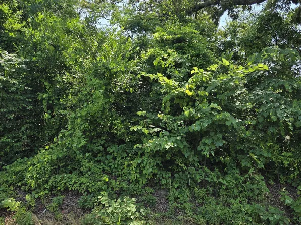 County Road 485, Tyler, TX 75706