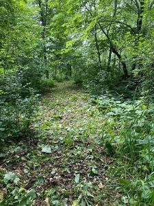 20011 Nevada Ave, Prior Lake, MN, 55372