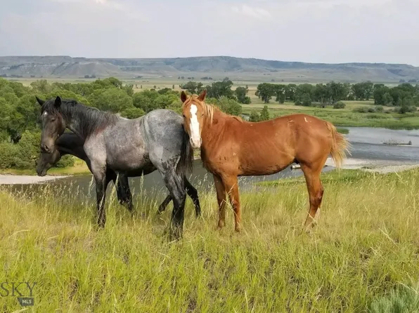 5255 Madison Rd, Three Forks, MT 59752