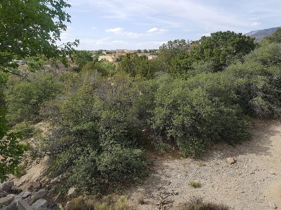 20190517_165939