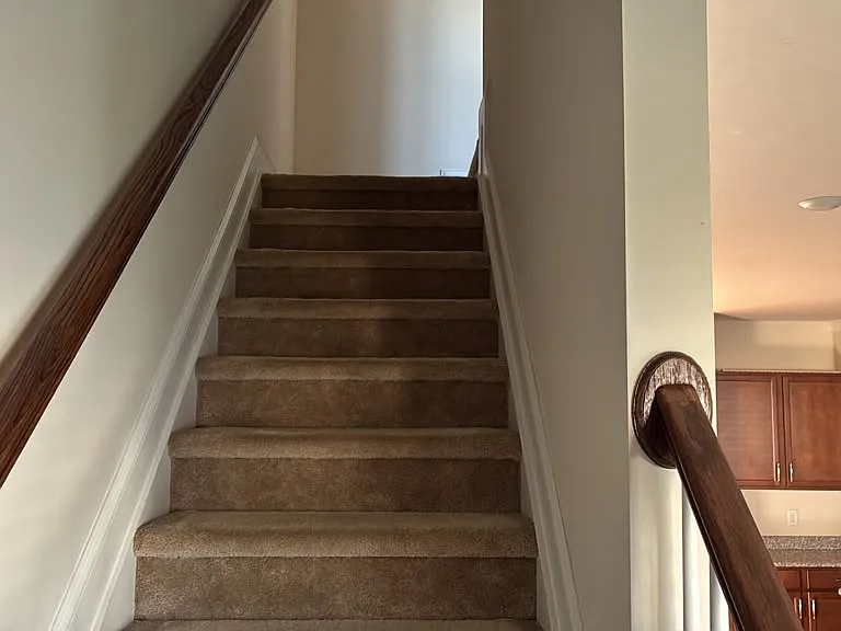 260 White Oak Ridge Dr — Photo 16