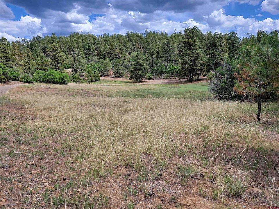 138 Crooked Rd, Pagosa Springs, CO 81147 MLS 795347 Zillow