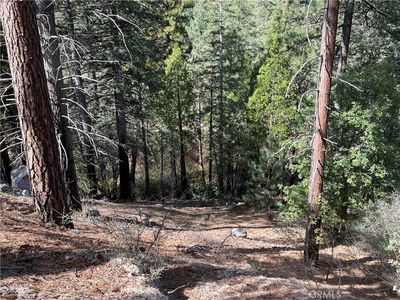 0 Little Bear Creek Rd #119, Lake Arrowhead, CA, 92352