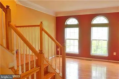 13599 Flying Squirrel Dr — Photo 4