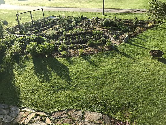 Backyard garden in summer. 