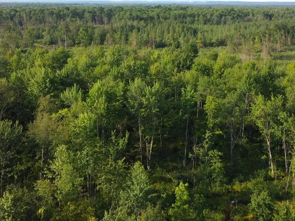 0 Mink Dr, Phillips, WI 54555