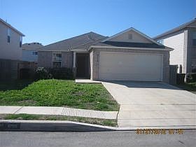 1st image of 8706 Snow Goose