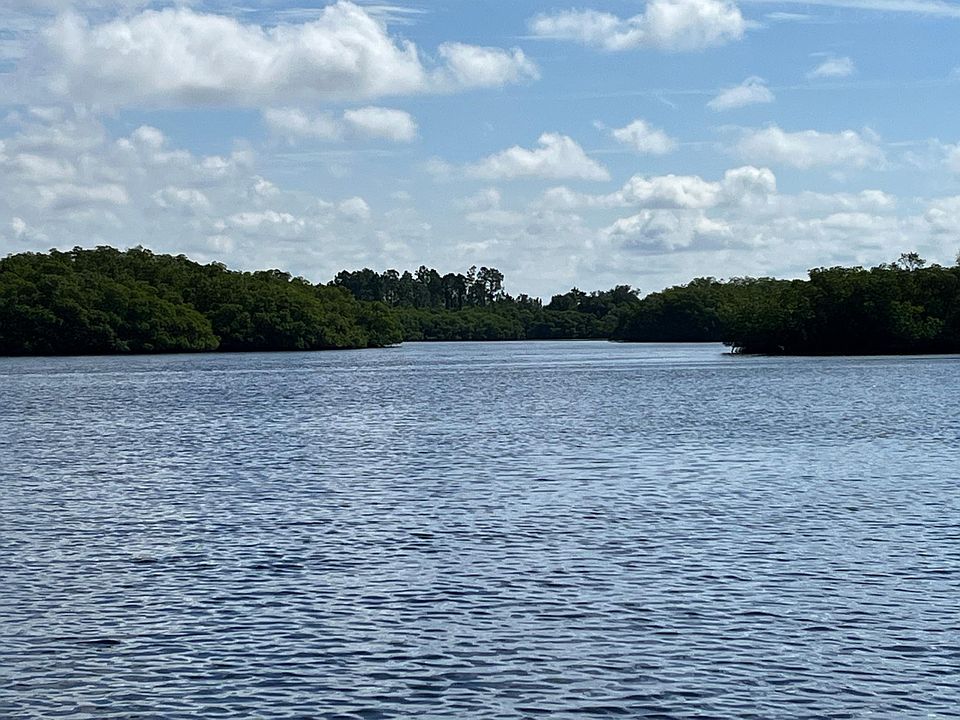 View from the backyard into the Little Manatee Preserve