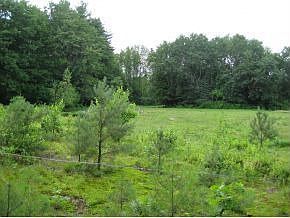2nd image of 43 Spofford Rd