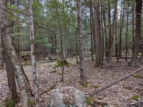 25 Maple Dr #25, Glenfield, NY 13343