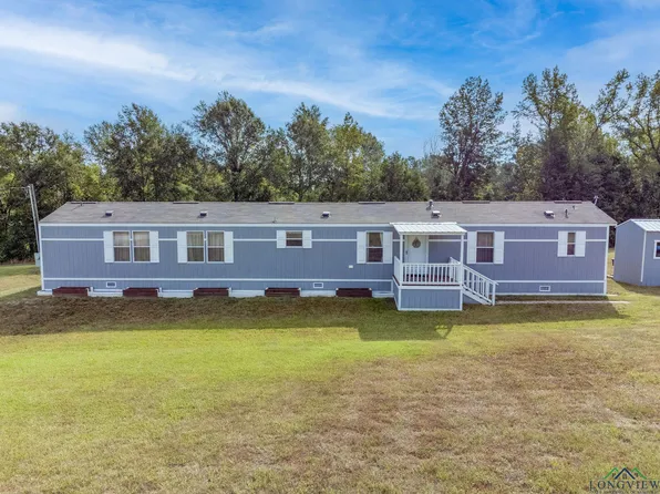 101 Eagle Ridge Rd, Diana, TX 75640