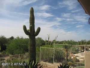 4th image of 9407 E Whitewing Dr