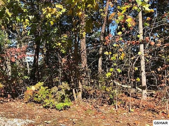 5th image of 37 Scenic Woods Way Lot 37