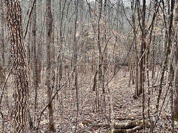 4th image of 509 Crowe Creek Rd