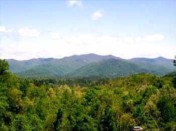 View From Main House
