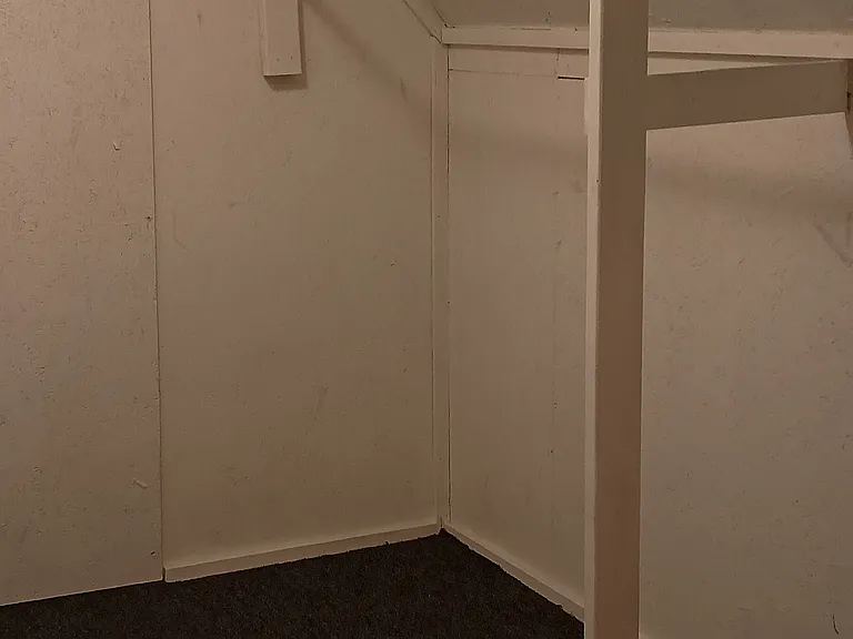 310 Peck St — Photo 16