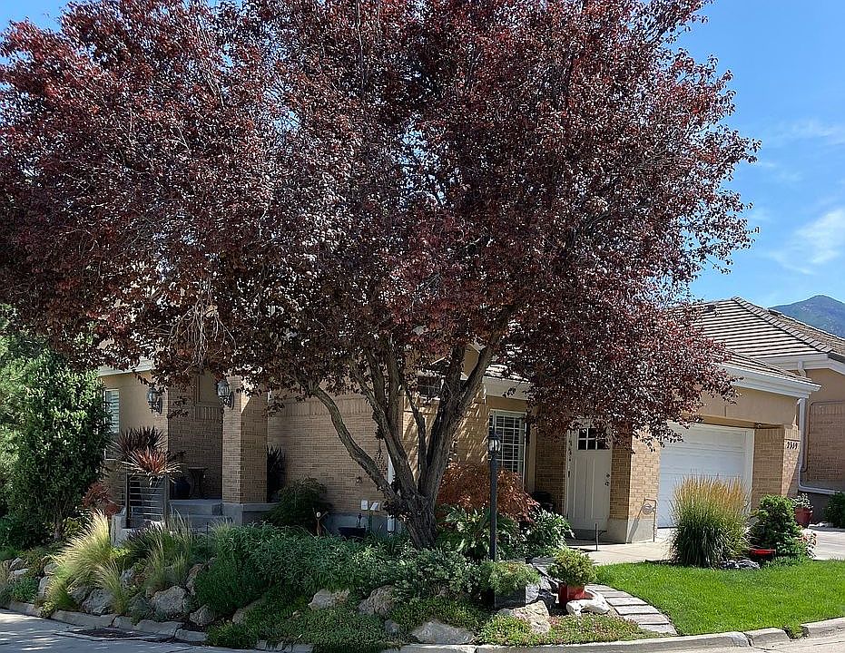 1st image of 2359 Dayspring Ln