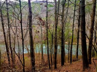 Aspen Ave, Ellijay, GA 30536