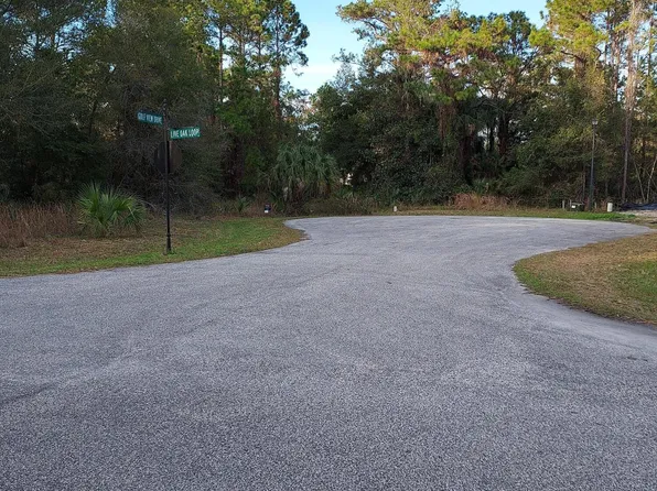 127 N GOLF VIEW Drive, Crescent City, FL 32112