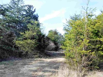 0000 Riles Run Ln, Mount Jackson, VA, 22842