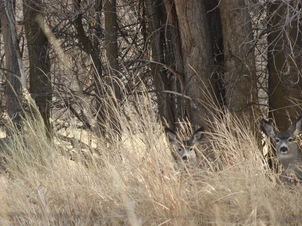 2894 Copeland Rd, Harper, OR 97906