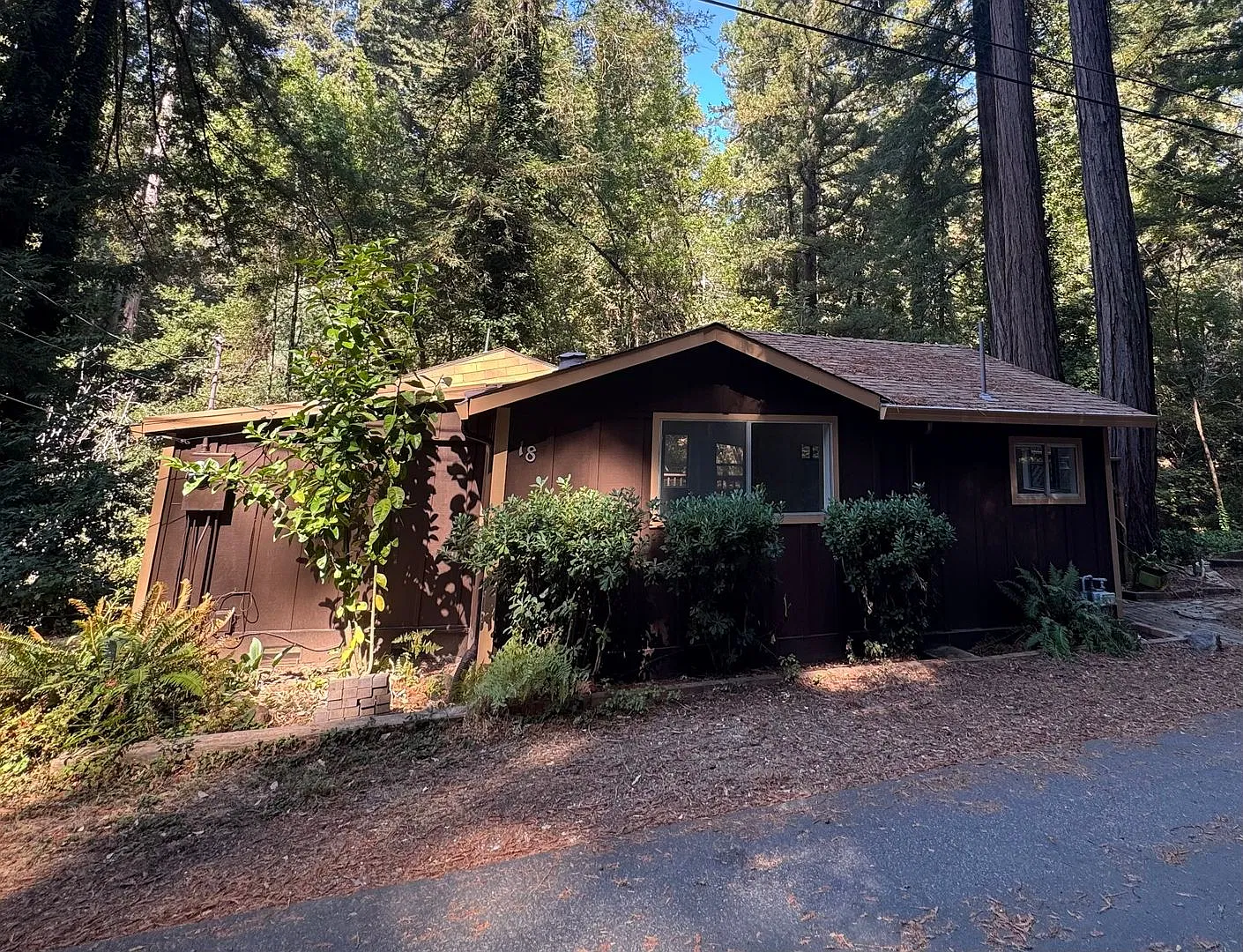 Cozy Cabin near downtown Boulder Creek — Photo 1