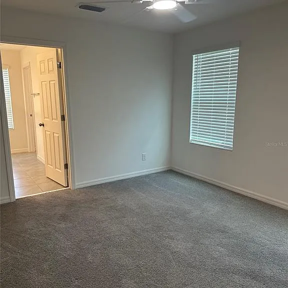 189 Glass Onion Dr — Photo 20
