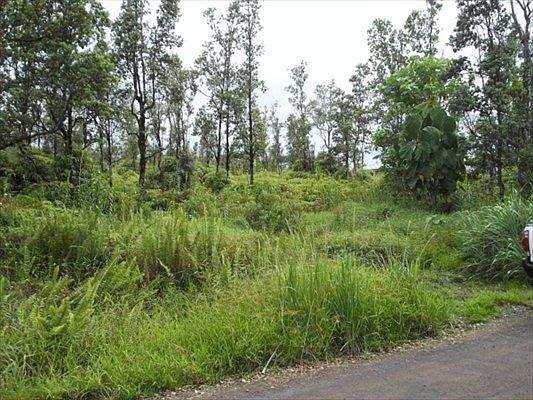 2nd image of 24th Ave Lot 156