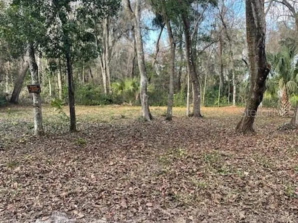 NE 164th Ln Lot 23-24, Citra, FL 32113