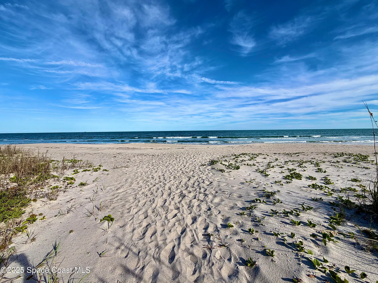 1 bed, 1.0 bath, 474 sqft, $2,200 — Photo 4