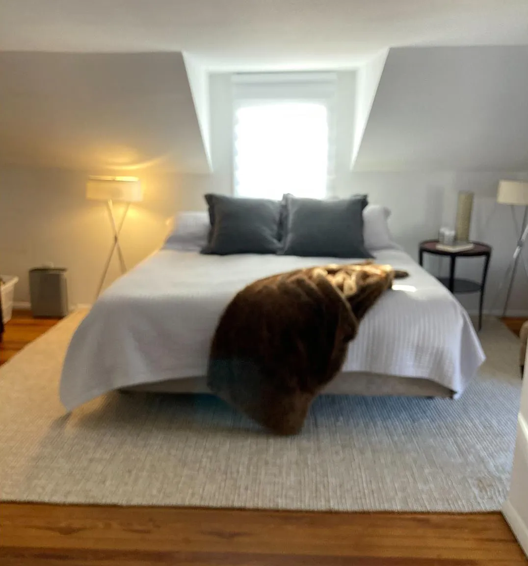 5 bed, 3.0 bath, 2300 sqft, $541 — Photo 2