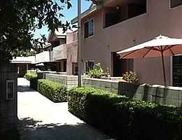 1 bed, 1.0 bath, $982 — Photo 2