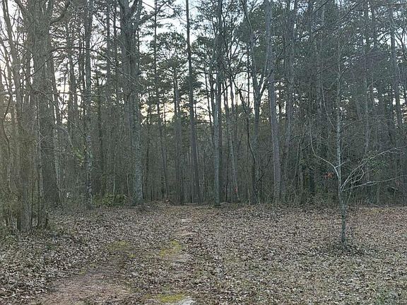 5th image of 0 Jett Roberts Rd
