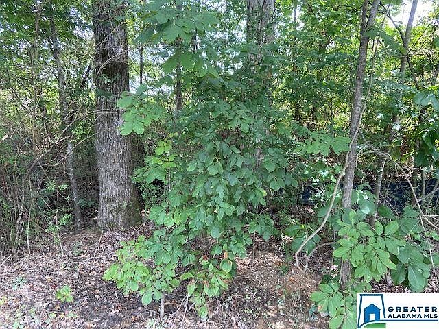 2nd image of 5402 Pine Rd