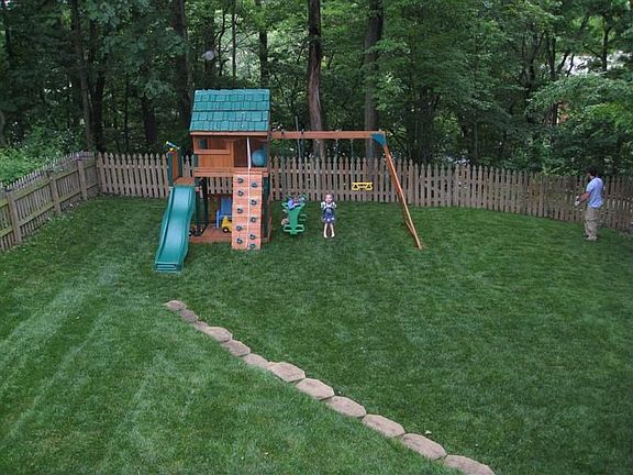 Back yard and woods