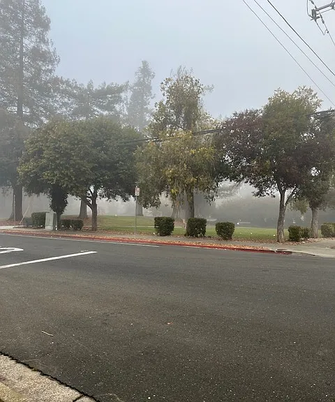 Park is located across the street. The fitness center is located opposite the park and Taco Bell.