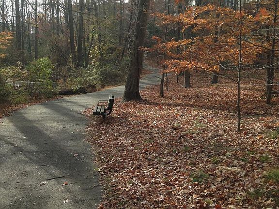 Park