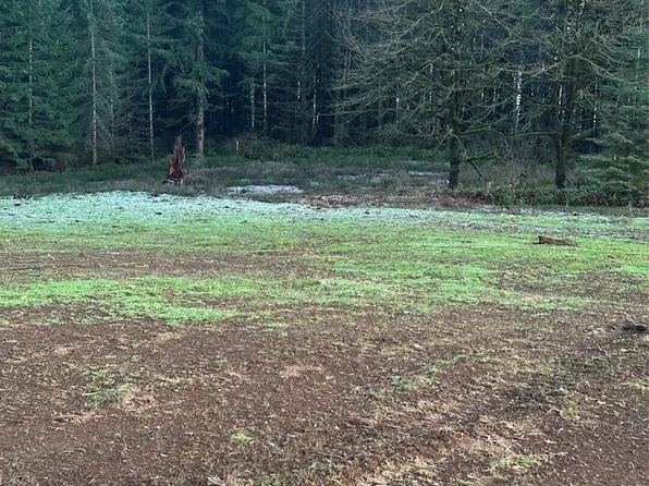 245 Suncrest Drive, Castle Rock, WA 98611