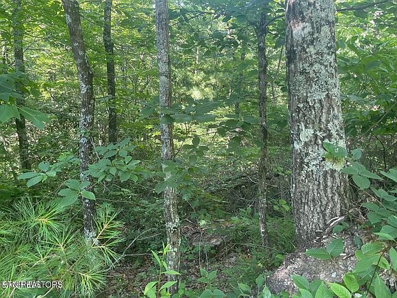 2nd image of 89 Sycamore Dr Lot 89