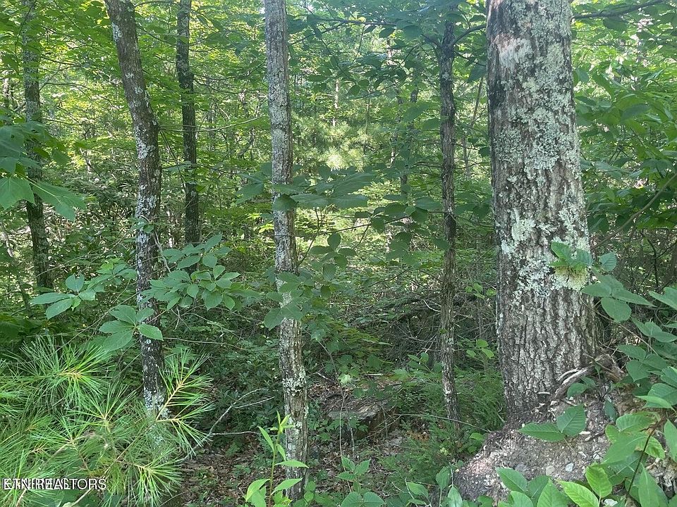 1st image of 71 Hazelnut Ln Lot 71