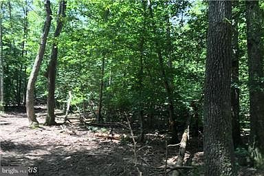 1st image of 9900 Tall Pines Pl