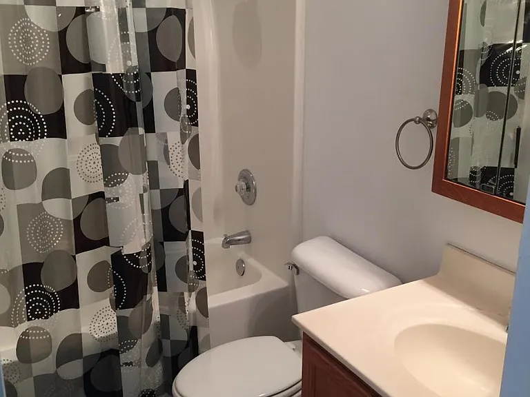 Hallway Bathroom