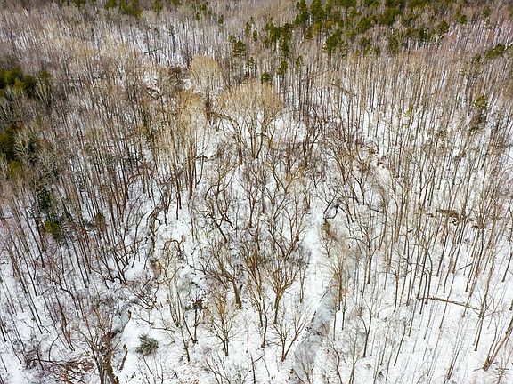 2nd image of 15 Farmville Rd