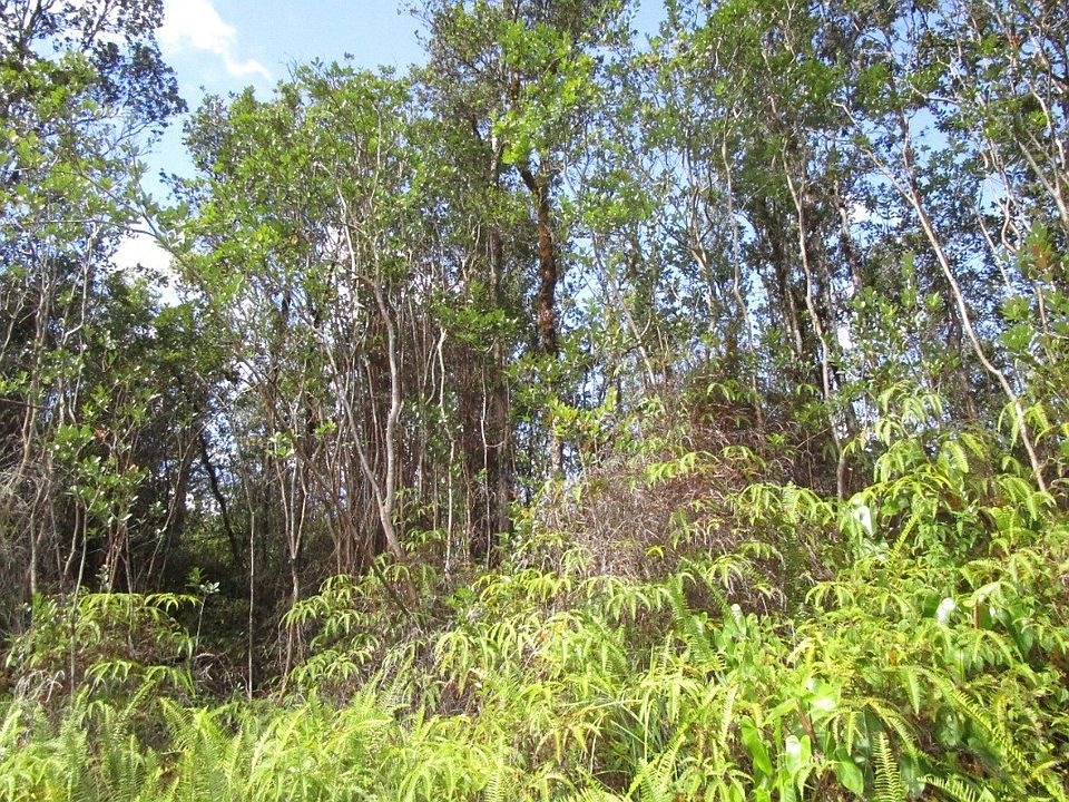2nd image of Hopue Road Rd #3-lot 3238